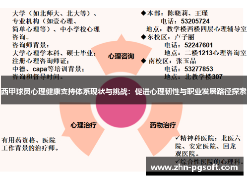 西甲球员心理健康支持体系现状与挑战：促进心理韧性与职业发展路径探索