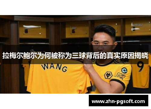 拉梅尔鲍尔为何被称为三球背后的真实原因揭晓 拉梅尔鲍尔为何被称为三球背后的真实原因揭晓